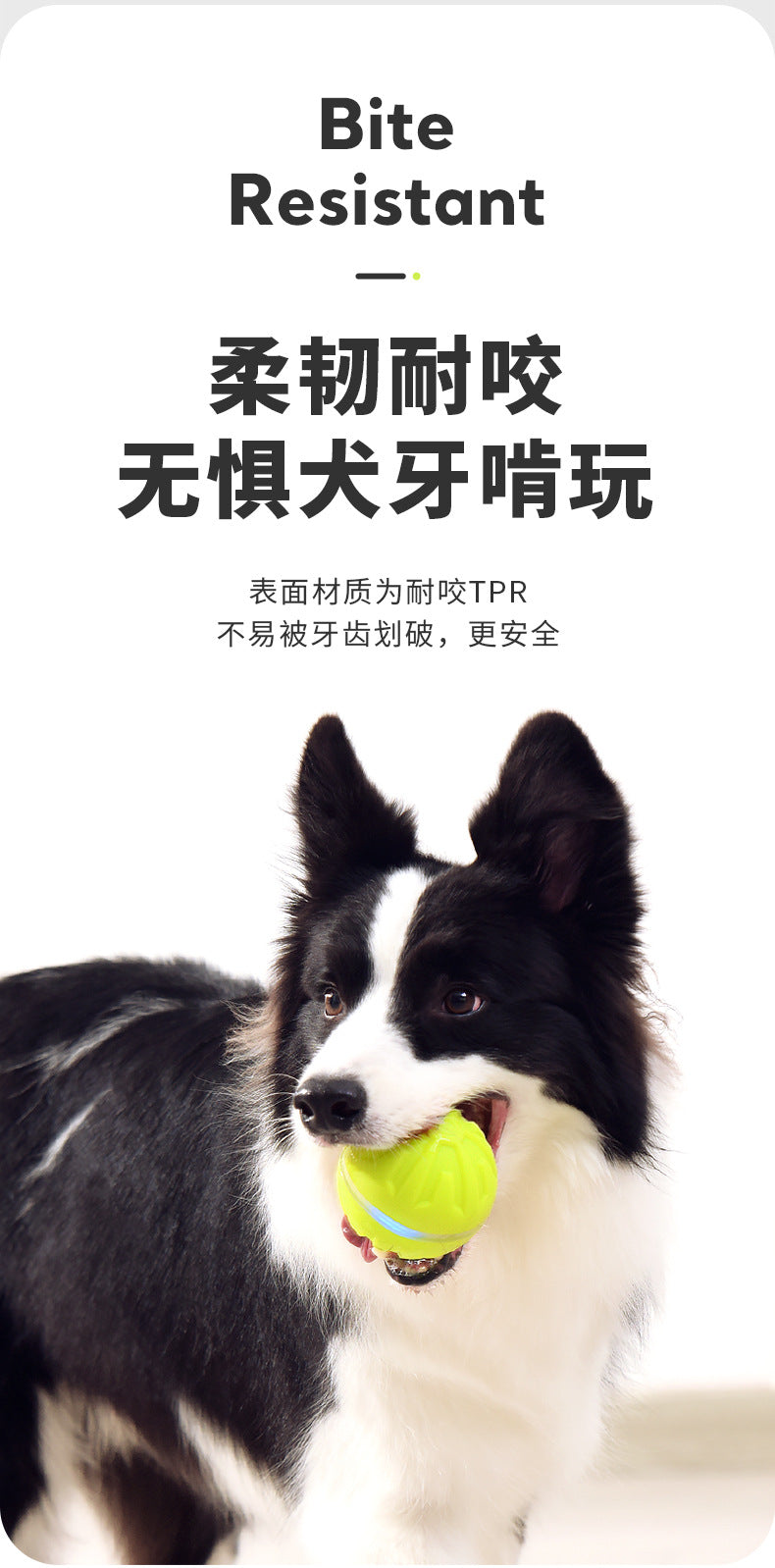 f500d7ef-e17d-4167-85ed-9686e95d2986